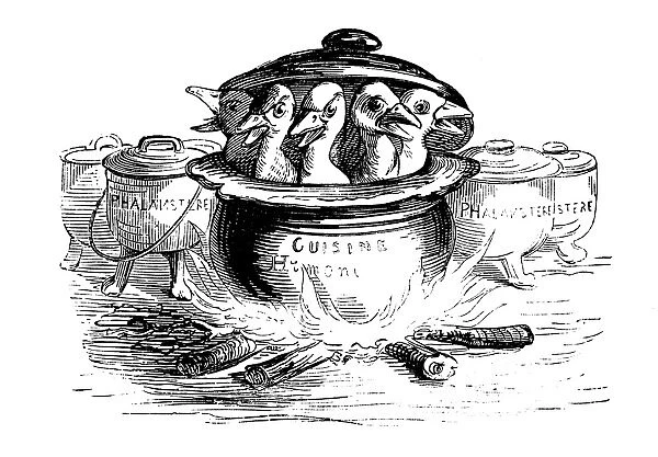 Humanized animals illustrations: birds in pot