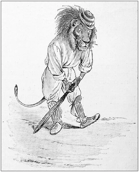 Humanized animals illustrations: Cricket, Bears vs Lions