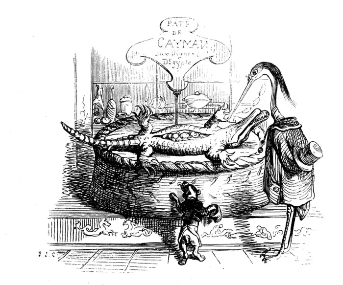 Framed Print : Humanized animals illustrations: Dead cayman Framed Print : Humanized animals illustrations: Dead cayman