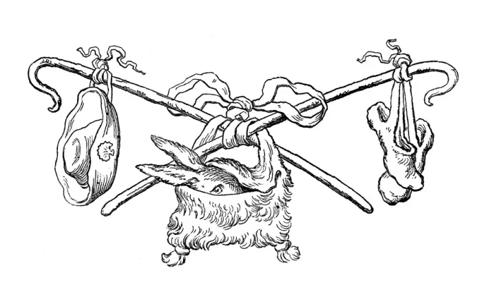 Framed Print : Humanized animals illustrations: Decoration Framed Print : Humanized animals illustrations: Decoration
