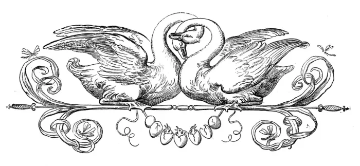 Framed Print : Humanized animals illustrations: Decoration