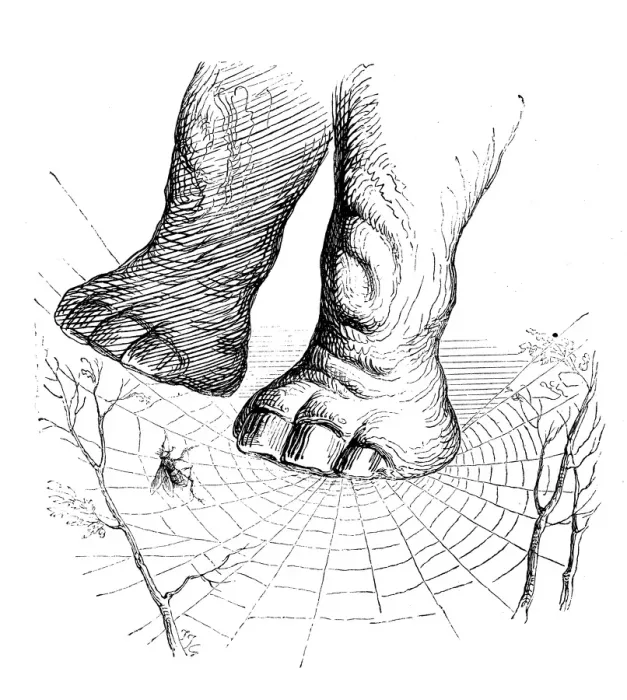 Framed Print : Humanized animals illustrations: Elephant on spiderweb Framed Print : Humanized animals illustrations: Elephant on spiderweb