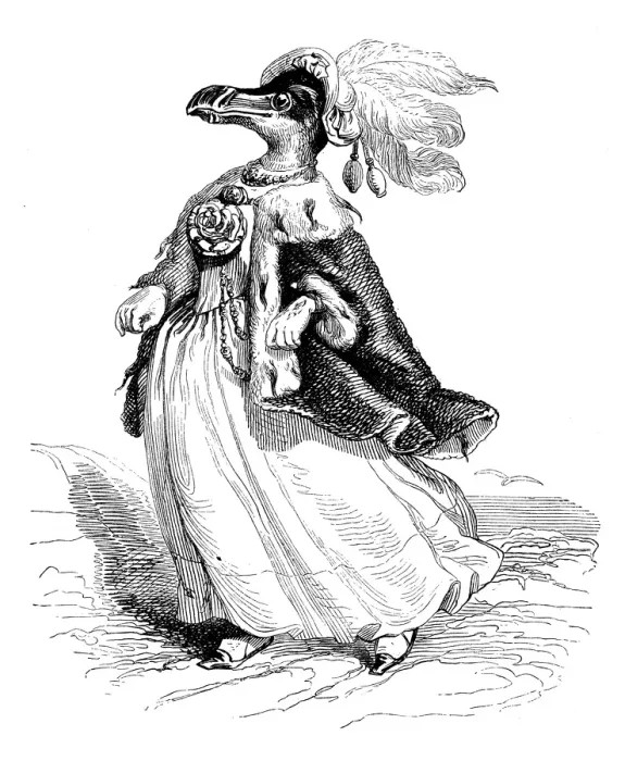 Framed Print : Humanized animals illustrations: Female penguin Framed Print : Humanized animals illustrations: Female penguin