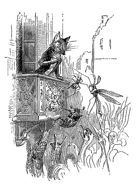 Humanized animals illustrations: Fox on balcony