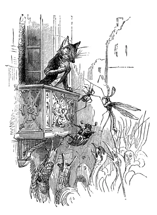 Framed Print : Humanized animals illustrations: Fox on balcony Framed Print : Humanized animals illustrations: Fox on balcony