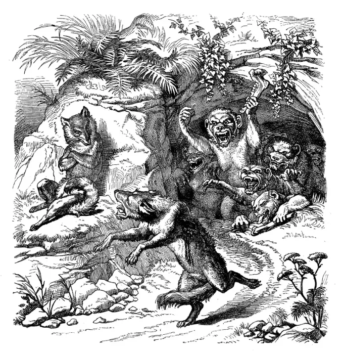 Framed Print : Humanized animals illustrations: Fox and monkeys Framed Print : Humanized animals illustrations: Fox and monkeys