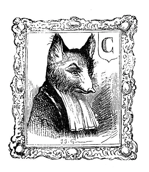 Humanized animals illustrations: Fox portrait