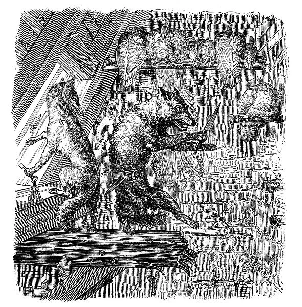 Humanized animals illustrations: Fox stealing