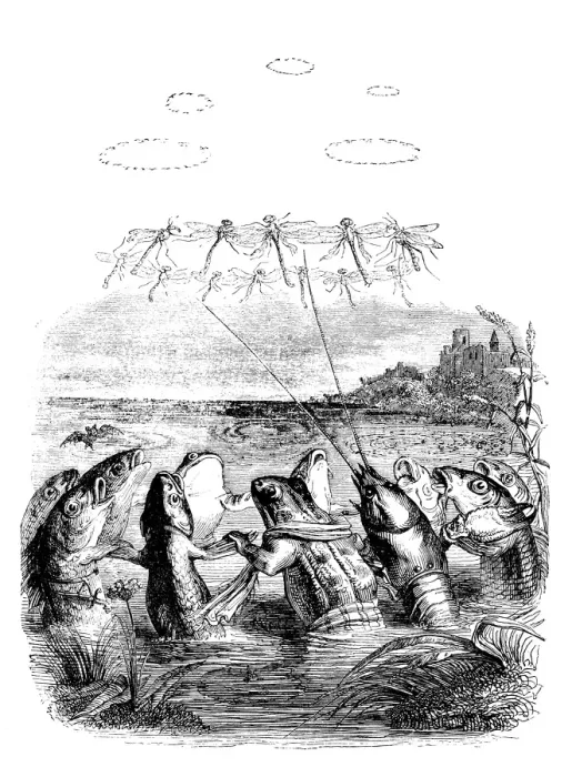 Framed Print : Humanized animals illustrations: Frogs, lobsters and dragonflies