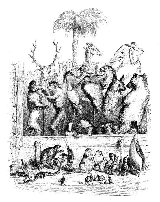 Framed Print : Humanized animals illustrations: Group Framed Print : Humanized animals illustrations: Group