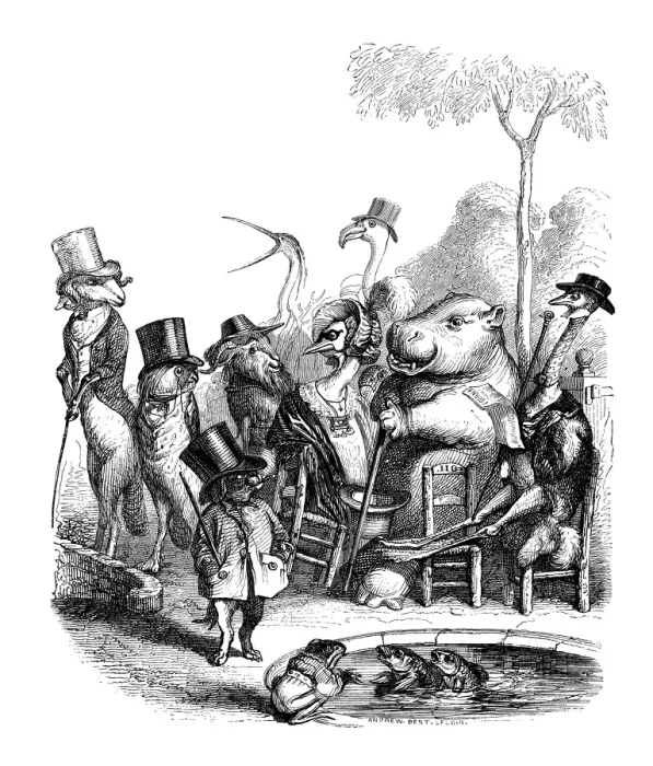 Framed Print : Humanized animals illustrations: Group Framed Print : Humanized animals illustrations: Group