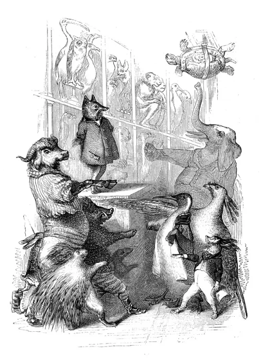 Framed Print : Humanized animals illustrations: Group Framed Print : Humanized animals illustrations: Group