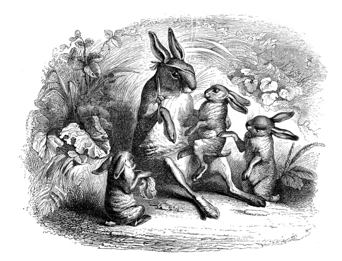 Framed Print : Humanized animals illustrations: Hare family Framed Print : Humanized animals illustrations: Hare family