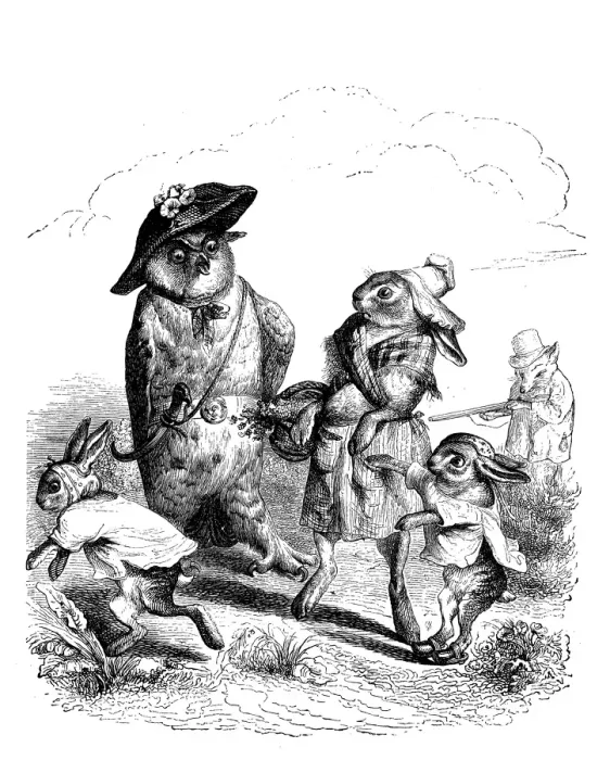 Framed Print : Humanized animals illustrations: Hares and owl Framed Print : Humanized animals illustrations: Hares and owl