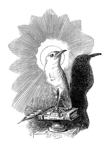 Humanized animals illustrations: Holy bird