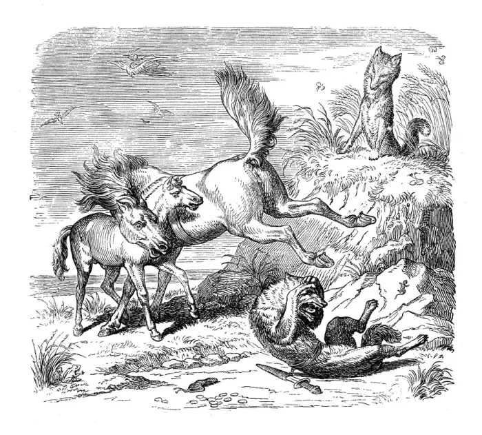 Framed Print : Humanized animals illustrations: Horse hitting fox