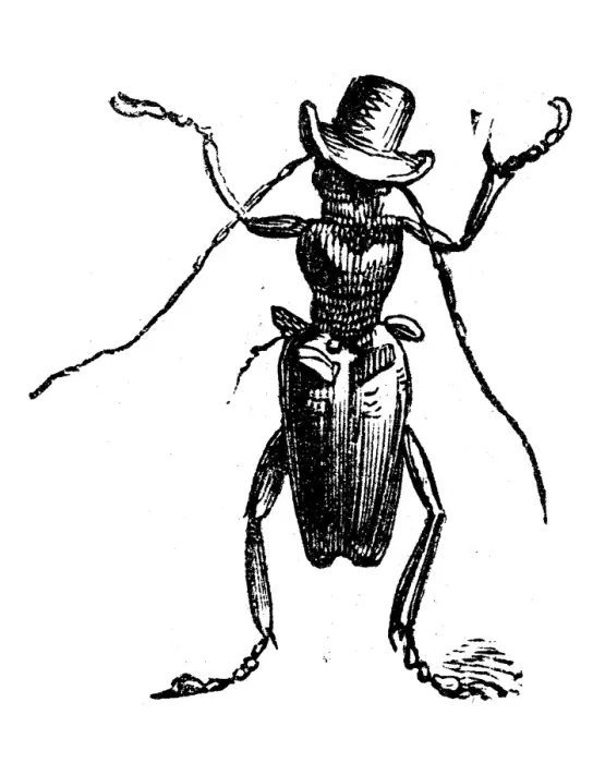 Framed Print : Humanized animals illustrations: Insect