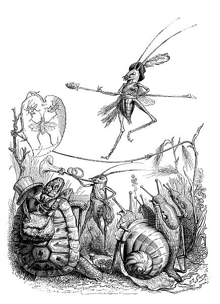 Humanized animals illustrations: Insect circus