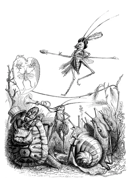 Framed Print : Humanized animals illustrations: Insect circus Framed Print : Humanized animals illustrations: Insect circus