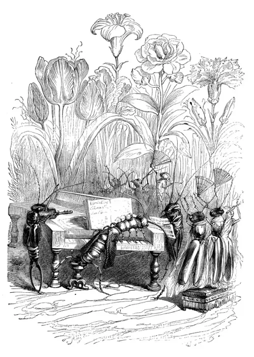 Framed Print : Humanized animals illustrations: Insect concert Framed Print : Humanized animals illustrations: Insect concert