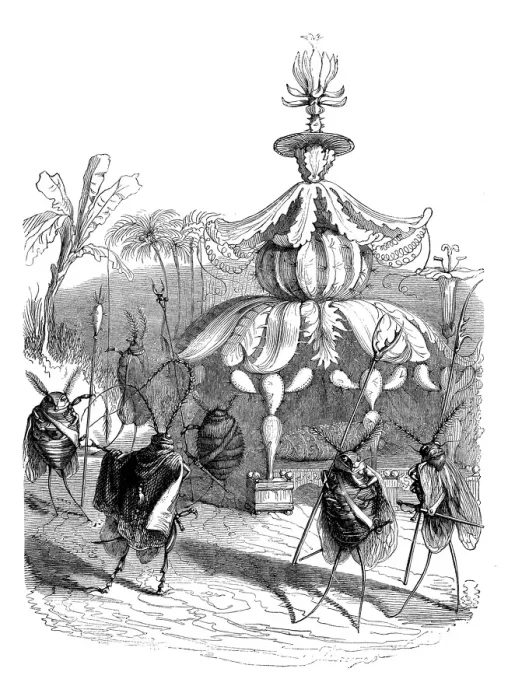 Framed Print : Humanized animals illustrations: Insect guards Framed Print : Humanized animals illustrations: Insect guards