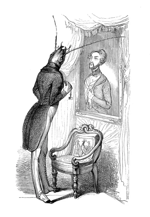 Framed Print : Humanized animals illustrations: Insect mirror Framed Print : Humanized animals illustrations: Insect mirror