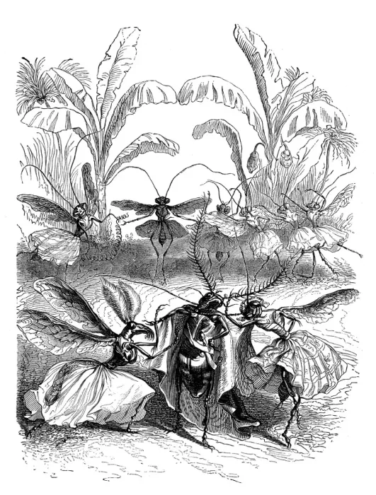 Framed Print : Humanized animals illustrations: Insects Framed Print : Humanized animals illustrations: Insects