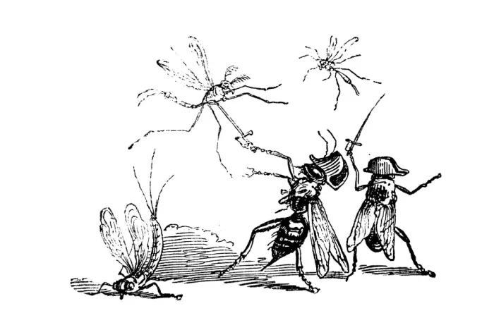 Framed Print : Humanized animals illustrations: Insects fighting Framed Print : Humanized animals illustrations: Insects fighting