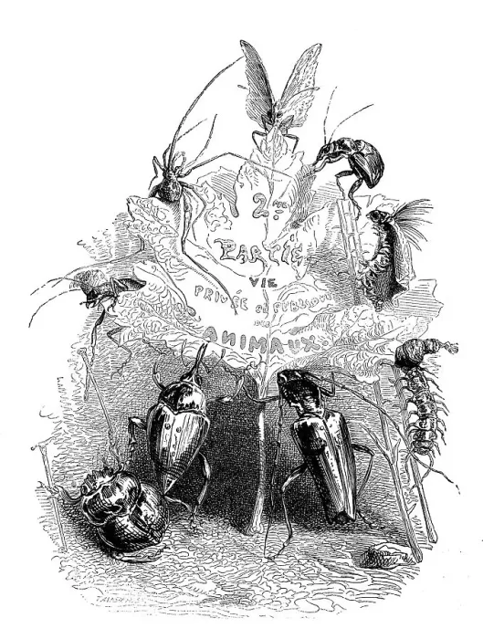 Framed Print : Humanized animals illustrations: Insects and leaf Framed Print : Humanized animals illustrations: Insects and leaf