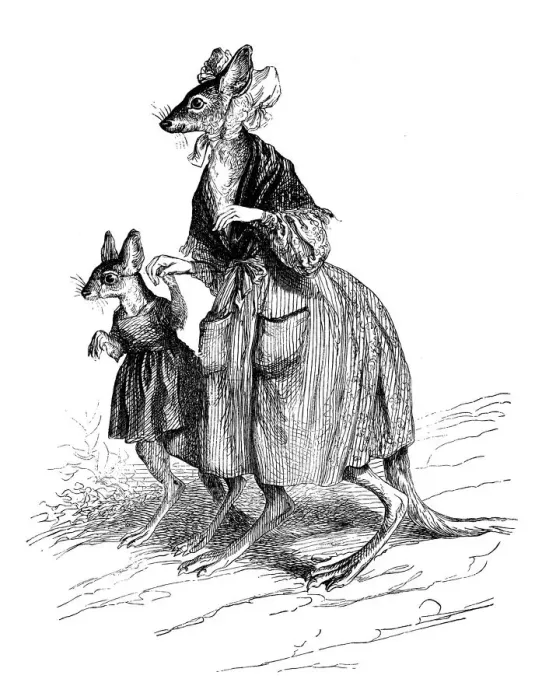 Framed Print : Humanized animals illustrations: Kangaroos Framed Print : Humanized animals illustrations: Kangaroos
