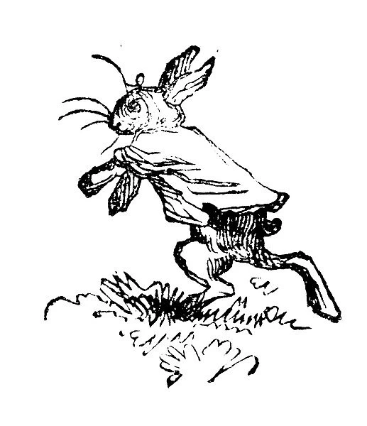 Humanized animals illustrations: Little rabbit