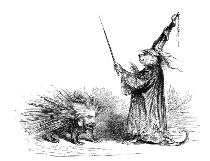 Framed Print : Humanized animals illustrations: Monkey wizard and porcupine