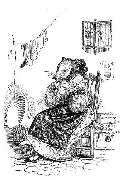 Humanized animals illustrations: Mouse