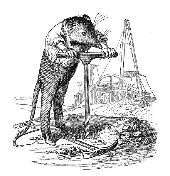 Humanized animals illustrations: Mouse boring