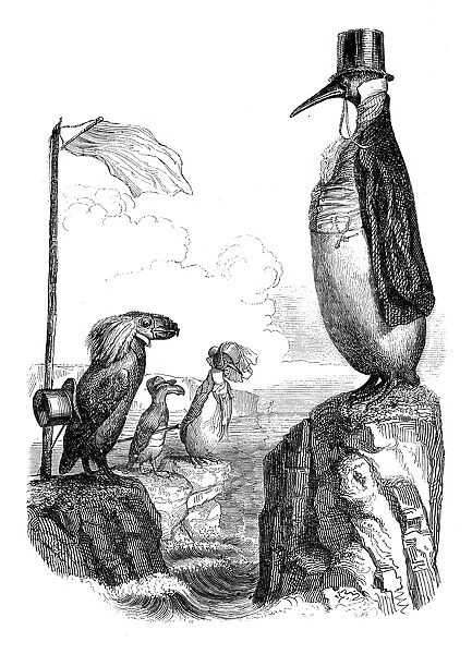 Humanized animals illustrations: Penguins