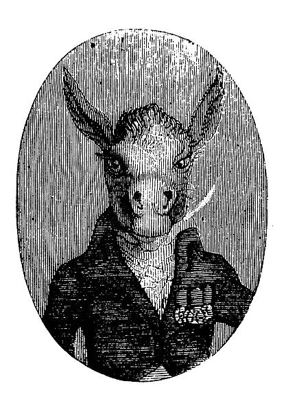Humanized animals illustrations: Portrait of donkey
