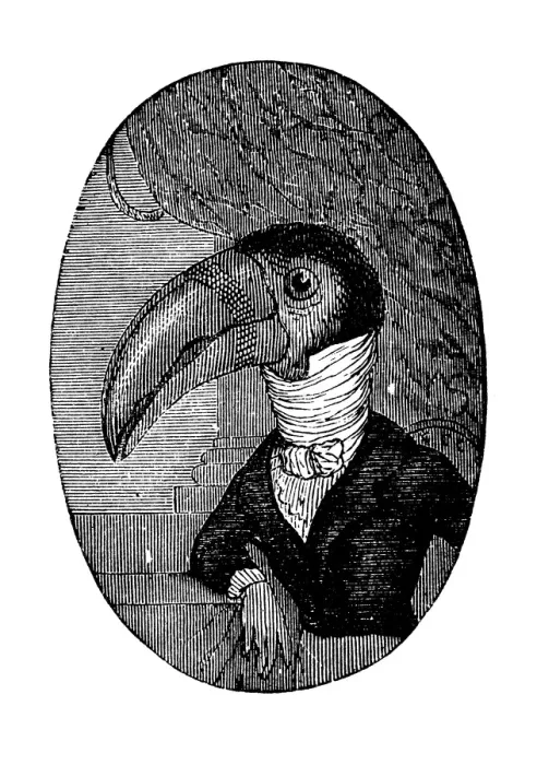 Framed Print : Humanized animals illustrations: Portrait of toucan Framed Print : Humanized animals illustrations: Portrait of toucan