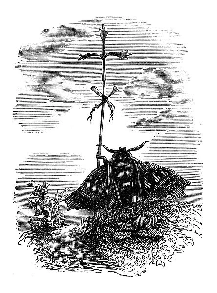 Humanized animals illustrations: Religious moth