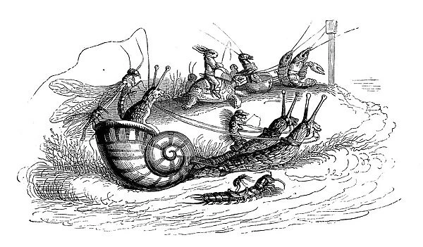Humanized animals illustrations: Riding snails