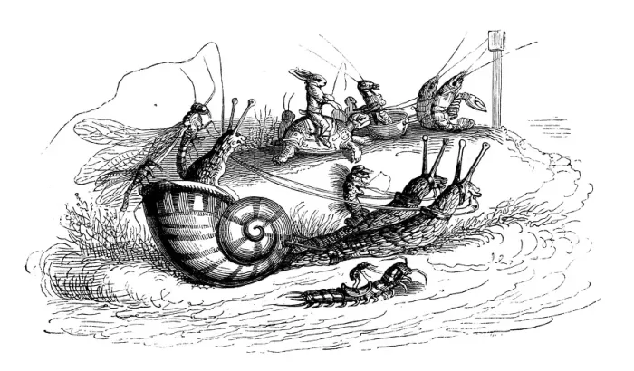 Framed Print : Humanized animals illustrations: Riding snails Framed Print : Humanized animals illustrations: Riding snails