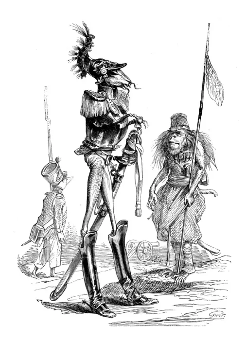 Framed Print : Humanized animals illustrations: Soldiers Framed Print : Humanized animals illustrations: Soldiers