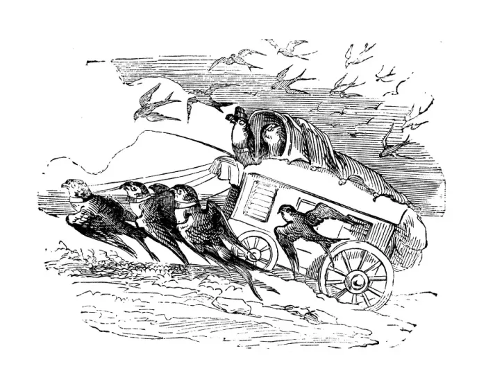 Framed Print : Humanized animals illustrations: Swallow carriage