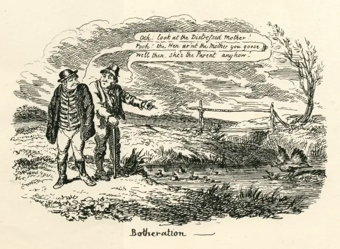 Framed Print : Humour among birds Botheration Cruikshank 19th century cartoon Framed Print : Humour among birds Botheration Cruikshank 19th century cartoon