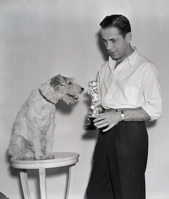Framed Print : Humphrey Bogart Presents Award to Dog Framed Print : Humphrey Bogart Presents Award to Dog