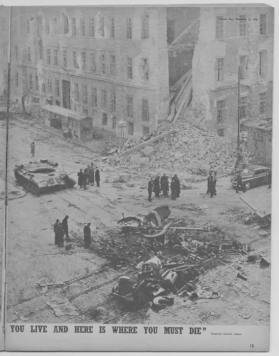 Framed Print : Hungarian Uprising Framed Print : Hungarian Uprising