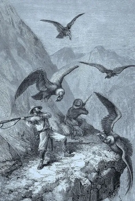 Framed Print : Hunters fighting with condors, 1888, Peru, Historical, digital reproduction of an original 19th-century painting Framed Print : Hunters fighting with condors, 1888, Peru, Historical, digital reproduction of an original 19th-century painting