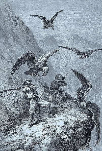 Hunters fighting with condors, 1888, Peru, Historical, digital reproduction of an original 19th-century painting