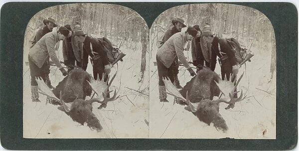 Hunters With Moose
