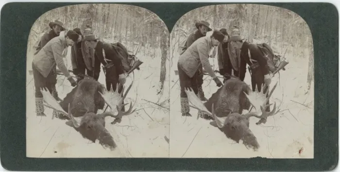 Framed Print : Hunters With Moose Framed Print : Hunters With Moose