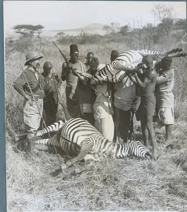 Framed Print : Hunters with Slain Zebra Framed Print : Hunters with Slain Zebra